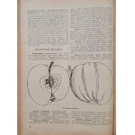 Ogrodnik, Rocznik 1935, nr 1-24 [sadownictwo, kwiaciarstwo, warzywnictwo, pszczelarstwo]