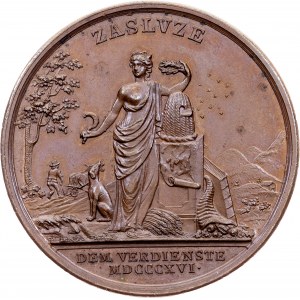 Bohemia, Medal 1816, Weiss