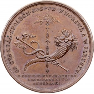 Bohemia, Medal 1816, Weiss