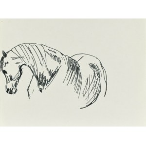 Ludwik MACIĄG (1920-2007), Sketch of a horse