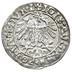 Sigismund II Augustus, Half-penny 1558/5, Vilnius - L/LITV, punctuation of last digit of date