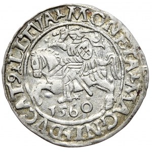 Zygmunt II August, Półgrosz 1560, Wilno - L/LITVA