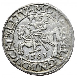 Zygmunt II August, Półgrosz 1561, Wilno - L/LITV