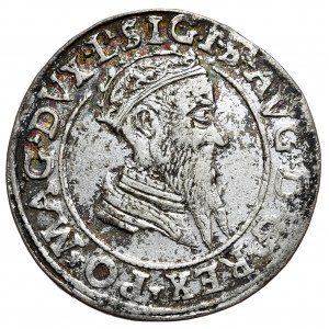 Zygmunt II August, czworak 1569, Wilno, L/LITVA