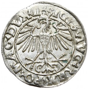 Zygmunt II August, Półgrosz 1550, Wilno - LI/LITVA