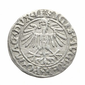 Zygmunt II August, Półgrosz 1551, Wilno - LI/LITVA, leżąca jedynka