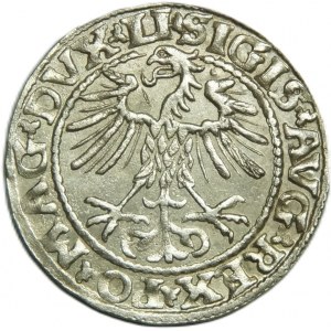 Zygmunt II August, półgrosz 1552, Wilno, PIĘKNA