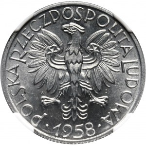 PRL, 5 złotych 1958, Rybak, BAŁWANEK