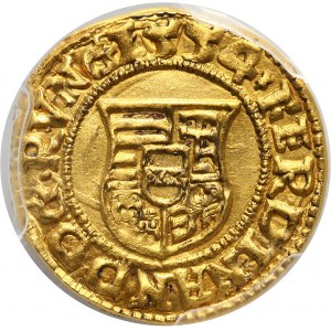 Węgry, Ferdynand I, denar w złocie wagi 1/2 dukata 1554 NC