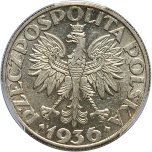 II RP, 5 złotych 1936, Warszawa, żaglowiec