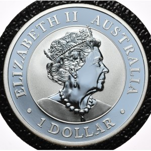 Australia, 1 dollaro, 2020,Brumby