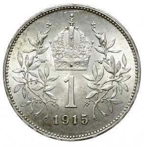 Austria, 1 crown 1915