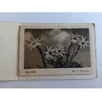 ALBUM 9 ITEMS, TATRA FLORA, EDELWEISS, PASQUEFLOWER, VIOLET, MOUNTAIN ASH, DWARF PINE