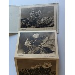 ALBUM 9 ITEMS, TATRA FLORA, EDELWEISS, PASQUEFLOWER, VIOLET, MOUNTAIN ASH, DWARF PINE