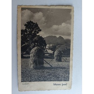 POSTCARD ZAKOPANE, TATRA, GIEWONT, HARVEST, HAYMAKING, PRE-WAR