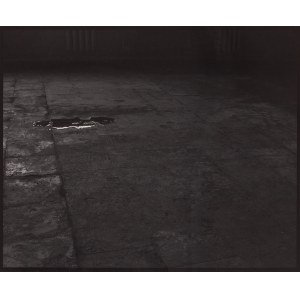 Mikołaj Smoczyński (1955 Łódź - 2009 Lublin), The Secret Performance II, 1985