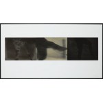 Ireneusz Pierzgalski (1929 Łódź - 2019 Łódź), Untitled (set of 3 photographs), 1968