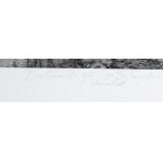 Dariusz Cichocki, Ohne Titel aus dem Zyklus Topographische Träume, 2008