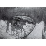 Dariusz Cichocki, Ohne Titel aus dem Zyklus Topographische Träume, 2008
