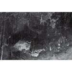 Dariusz Cichocki, Ohne Titel aus dem Zyklus Topographische Träume, 2008