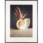 Ryszard Horowitz (b. 1939, Krakow), Pearly Hand, 1971/2000