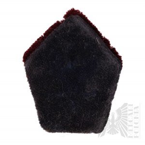 PSZnZ Graduate Officer's Collar Patches