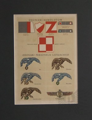 Jerzy Radlicz (1901-1938) Odznaki samolotów i personelu latającego, 1933