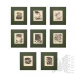 Stanislaw Ostoja-Chrostowski (1900 - 1947) -Set of 8 woodcuts from the series Siberia, 1936
