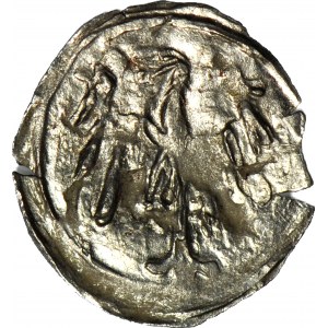 Śląsk, Jerzy z Podiebradu 1454-1462, Halerz bez daty, Lew/Orzeł, menniczy, R5, długie i cienkie pióra orła