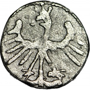 R-, Kazimierz Jagiellończyk 1427-1492, Denar
