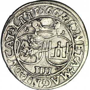 Zygmunt II August, Czworak 1566 Wilno, L / LIT