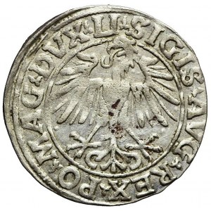 Zygmunt II August, Półgrosz 1548, Wilno, LITVA/LI