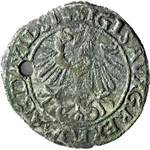 R-, Zygmunt II August, Półgrosz 1559, Wilno, fałszerstwo z epoki
