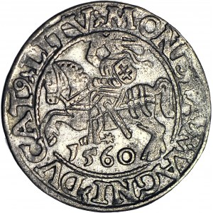 Zygmunt II August, Półgrosz 1560, Wilno