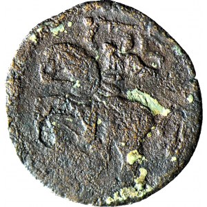 Zygmunt II August, Dwudenar 1570, Wilno, fałszerstwo z epoki