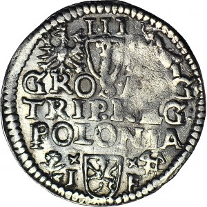 Zygmunt III Waza, Trojak 1595, Wschowa, SIG 3, data w otoku