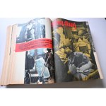 LIVE LONGER Yearbooks 1963-1968 [PZWL].
