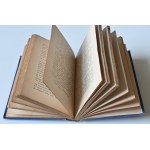 ZIELIŃSKA MICHALINA Na tle swojskiem [with 8 drawings by W. GERSON] 1884