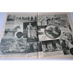 WALT DISNEY Wesołe przygody Myszki Mickey i Psa Burka [dodatek do IKC nr 4/1938]