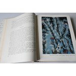 GENERAL HISTORY OF ART IN SIX VOLUMES [Academy of Art of the USSR] 1960-66.