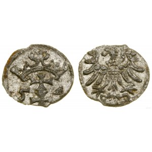 Poland, denarius, 1554, Gdansk