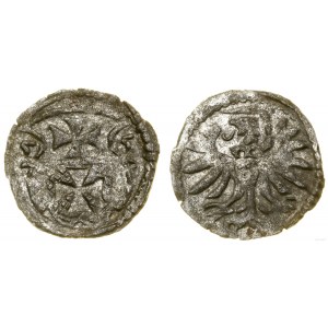 Poland, denarius, 1555, Elbląg