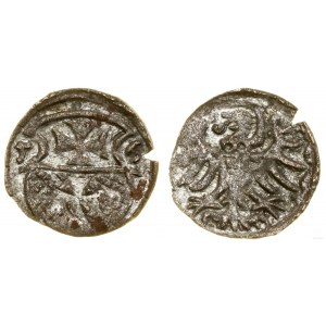 Poland, denarius, 1556, Elbląg