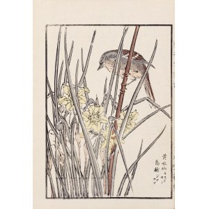 Kikuchi Hobun (1862-1918), Ptak i irysy, Kioto, 1890