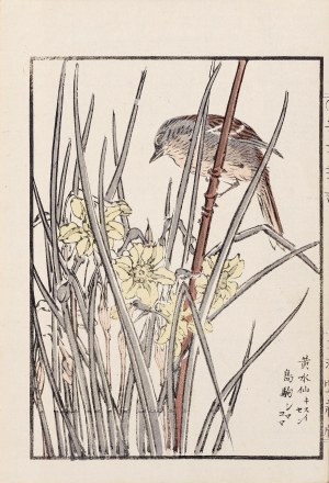 Kikuchi Hobun (1862-1918), Ptak i irysy, Kioto, 1890