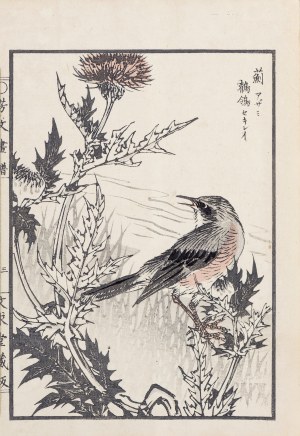 Kikuchi Hobun (1862-1918), Ptak i osty, Kioto, 1890
