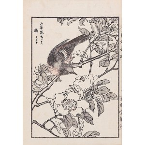 Kikuchi Hobun (1862-1918), Ptak i gałązka wiśni, Kioto, 1890