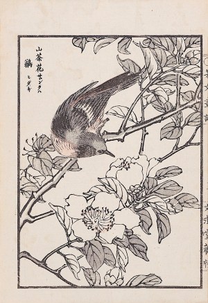 Kikuchi Hobun (1862-1918), Ptak i gałązka wiśni, Kioto, 1890