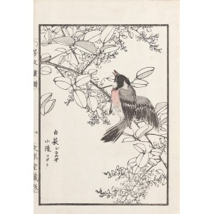 Kikuchi Hobun (1862-1918), Gil, Kioto, 1890