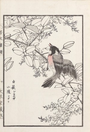 Kikuchi Hobun (1862-1918), Gil, Kioto, 1890